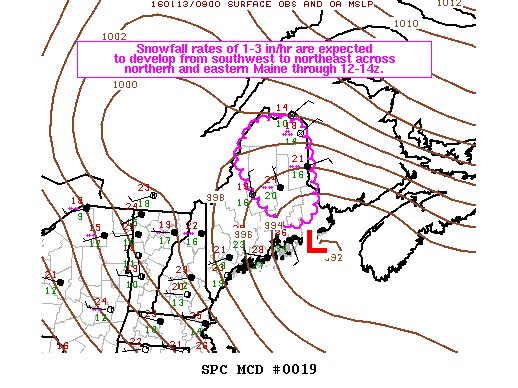 SPC MD 19