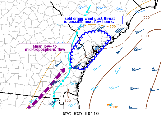 NOAA Storm Prediction Center Mesoscale Discussion 110