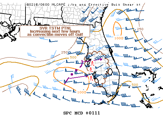 NOAA Storm Prediction Center Mesoscale Discussion 111