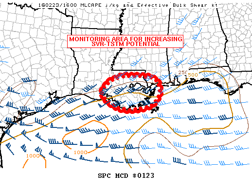 NOAA Storm Prediction Center Mesoscale Discussion 123