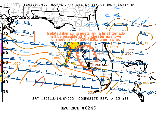 NOAA Storm Prediction Center Mesoscale Discussion 246
