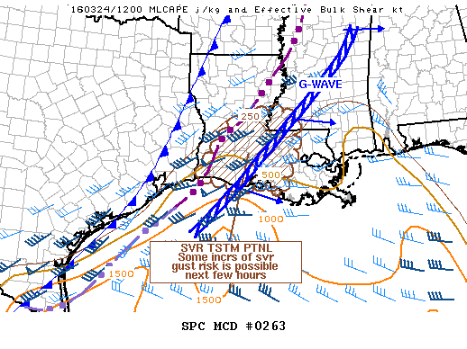 NOAA Storm Prediction Center Mesoscale Discussion 263