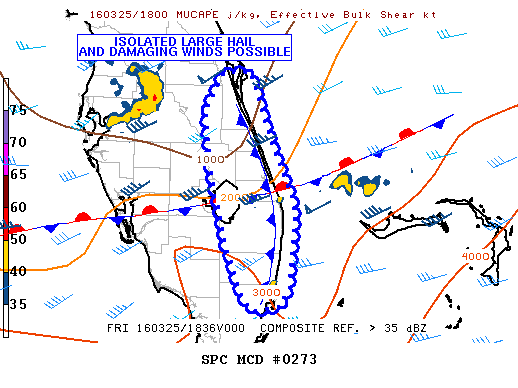 NOAA Storm Prediction Center Mesoscale Discussion 273