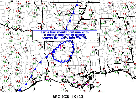 NOAA Storm Prediction Center Mesoscale Discussion 313