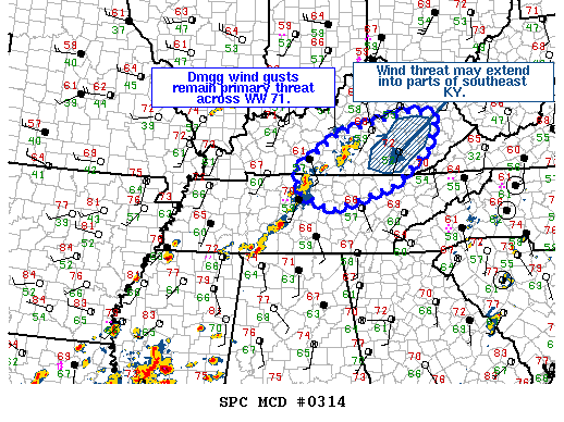 NOAA Storm Prediction Center Mesoscale Discussion 314