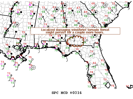 NOAA Storm Prediction Center Mesoscale Discussion 316