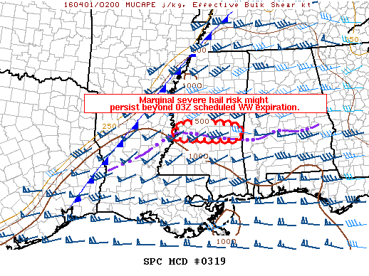 NOAA Storm Prediction Center Mesoscale Discussion 319