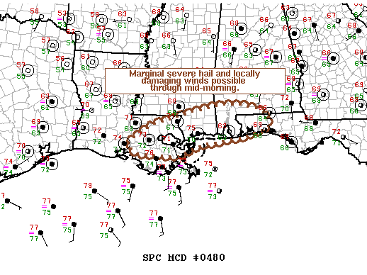 NOAA Storm Prediction Center Mesoscale Discussion 480