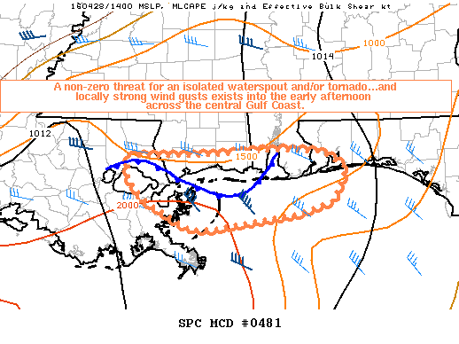 NOAA Storm Prediction Center Mesoscale Discussion 481