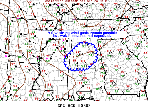 NOAA Storm Prediction Center Mesoscale Discussion 503