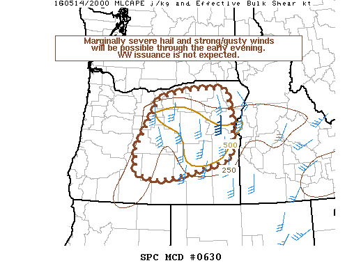 NOAA Storm Prediction Center Mesoscale Discussion 630