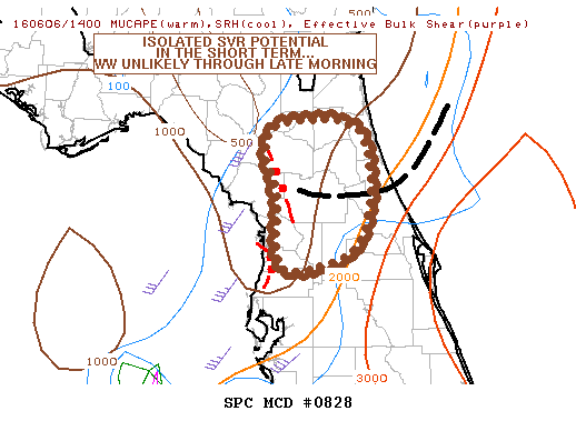 NOAA Storm Prediction Center Mesoscale Discussion 828