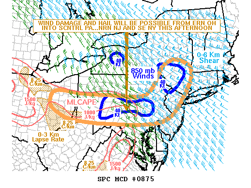 NOAA Storm Prediction Center Mesoscale Discussion 875