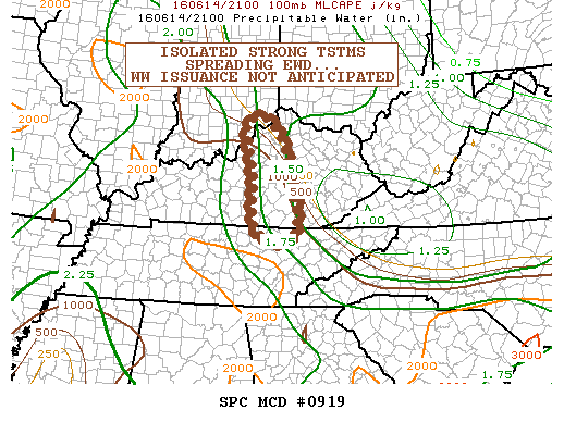 NOAA Storm Prediction Center Mesoscale Discussion 919