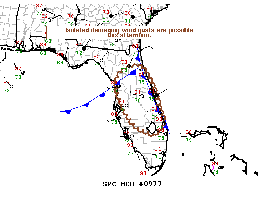 NOAA Storm Prediction Center Mesoscale Discussion 977