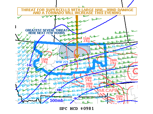 NOAA Storm Prediction Center Mesoscale Discussion 981