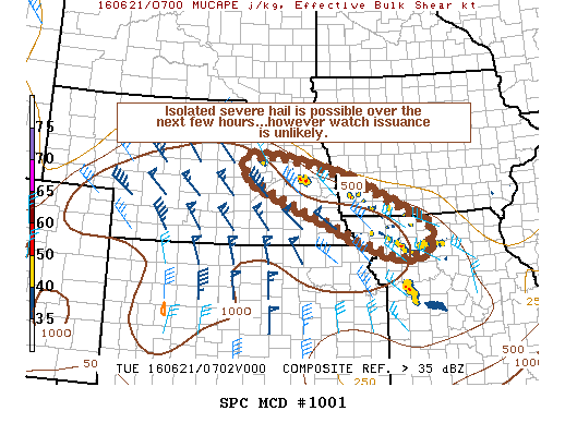 NOAA Storm Prediction Center Mesoscale Discussion 1001