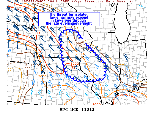 NOAA Storm Prediction Center Mesoscale Discussion 1013