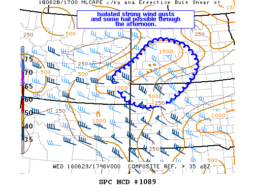 NOAA Storm Prediction Center Mesoscale Discussion 1089