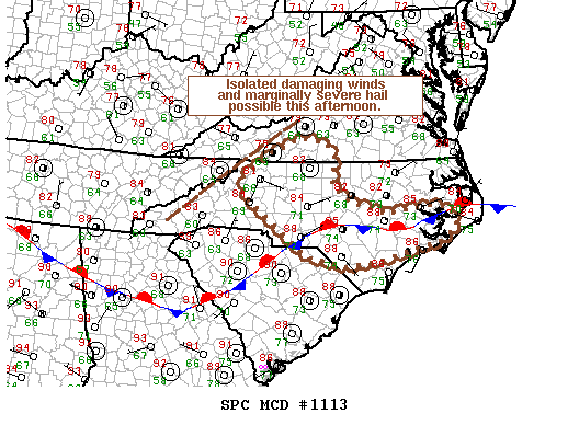 NOAA Storm Prediction Center Mesoscale Discussion 1113