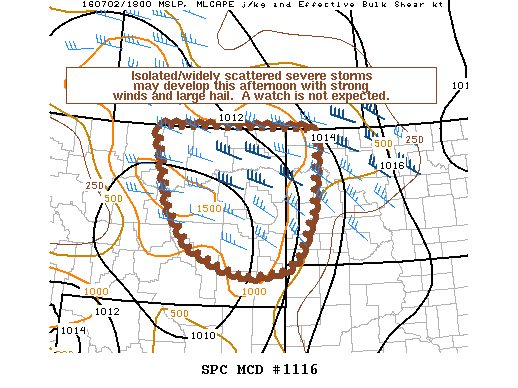 NOAA Storm Prediction Center Mesoscale Discussion 1116