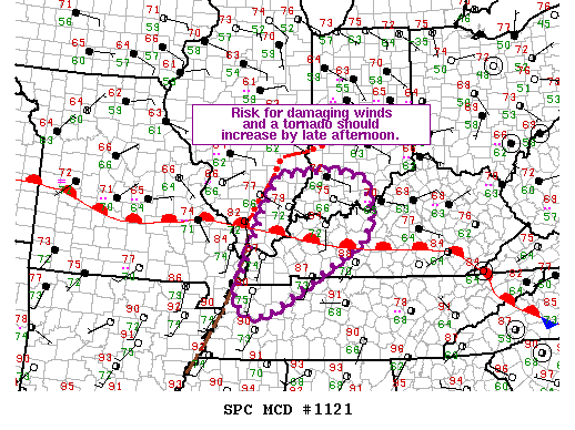 NOAA Storm Prediction Center Mesoscale Discussion 1121