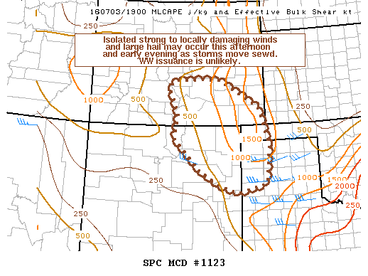 NOAA Storm Prediction Center Mesoscale Discussion 1123