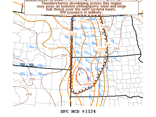 NOAA Storm Prediction Center Mesoscale Discussion 1124