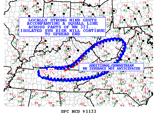 NOAA Storm Prediction Center Mesoscale Discussion 1133