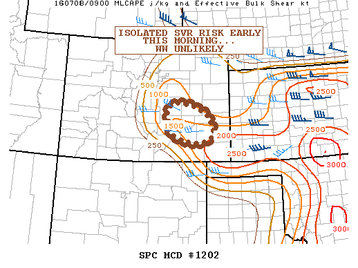 NOAA Storm Prediction Center Mesoscale Discussion 1202
