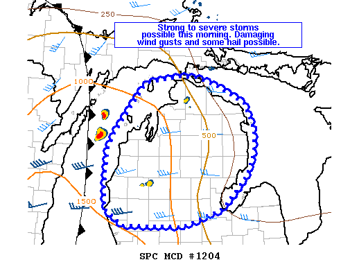 NOAA Storm Prediction Center Mesoscale Discussion 1204