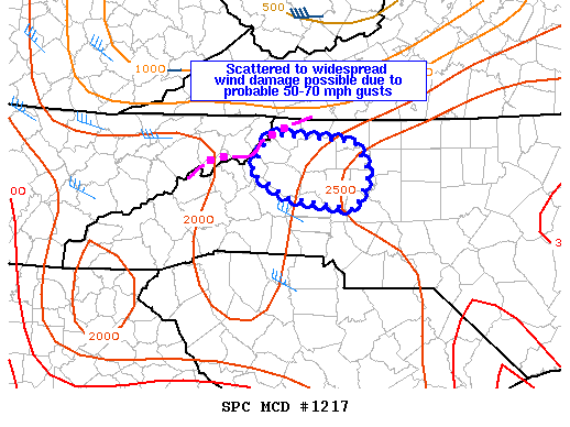 NOAA Storm Prediction Center Mesoscale Discussion 1217