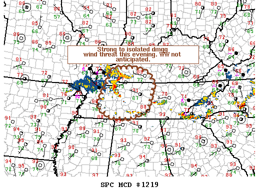 NOAA Storm Prediction Center Mesoscale Discussion 1219
