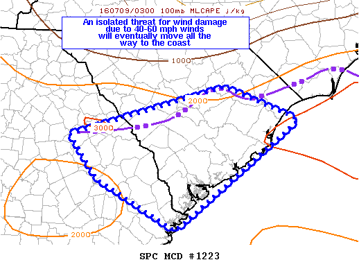 NOAA Storm Prediction Center Mesoscale Discussion 1223