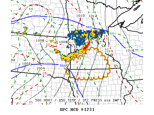 NOAA Storm Prediction Center Mesoscale Discussion 1231