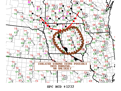 NOAA Storm Prediction Center Mesoscale Discussion 1232
