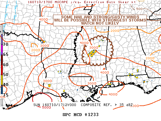 NOAA Storm Prediction Center Mesoscale Discussion 1233