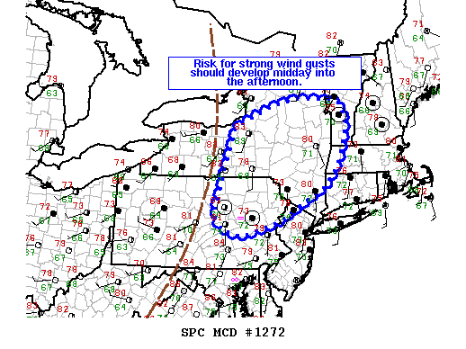 NOAA Storm Prediction Center Mesoscale Discussion 1272