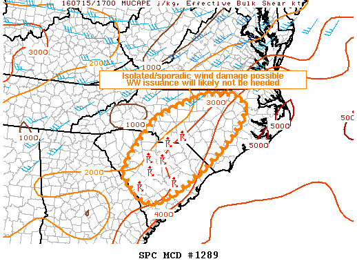 NOAA Storm Prediction Center Mesoscale Discussion 1289