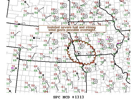 NOAA Storm Prediction Center Mesoscale Discussion 1313