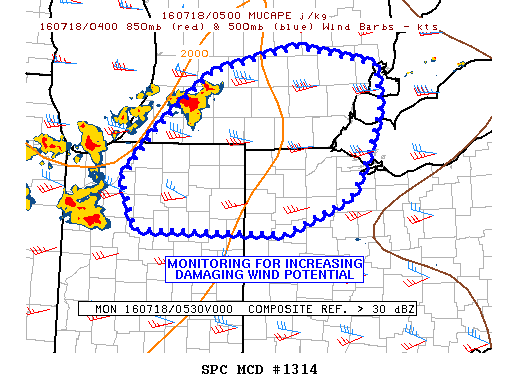 NOAA Storm Prediction Center Mesoscale Discussion 1314