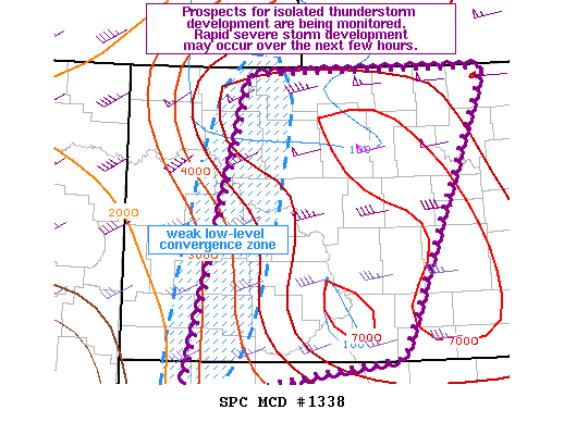 NOAA Storm Prediction Center Mesoscale Discussion 1338