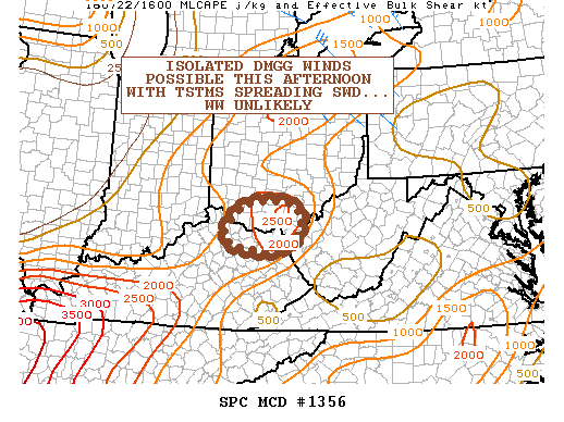 NOAA Storm Prediction Center Mesoscale Discussion 1356