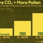 It isn't just a feeling: Spring is getting longer, pollen getting worse