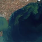 Tropical system won't likely disperse Mississippi algal bloom