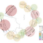 3/26/20 Overnight Coronavirus update: US now world leader in Coronavirus cases - the new numbers, new research to find natural antibodies and determine viral load for treatment, plus podcasts from medical professionals