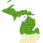 Introducing Up North Michigan Forecasts